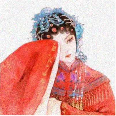 读者林望舒头像